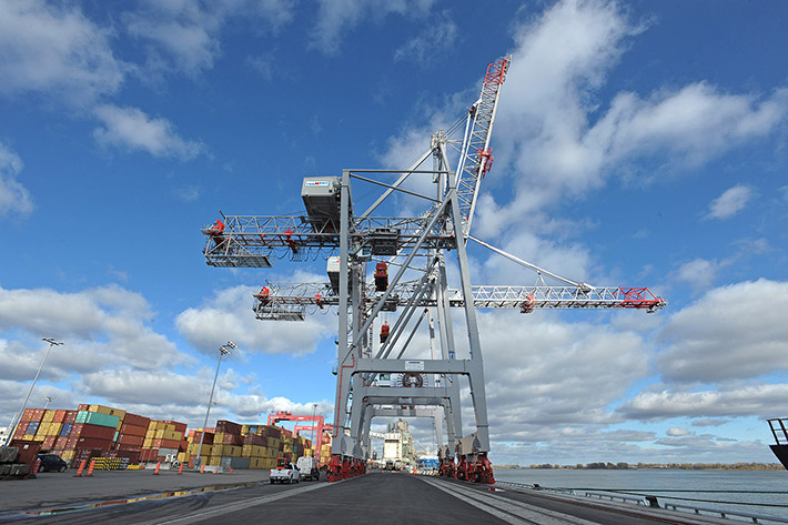 Termont Montreal Inc. places order with Liebherr for STS and RMG cranes