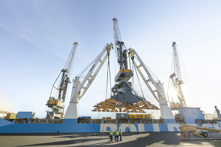 Rostock’tan tüm dünyaya…