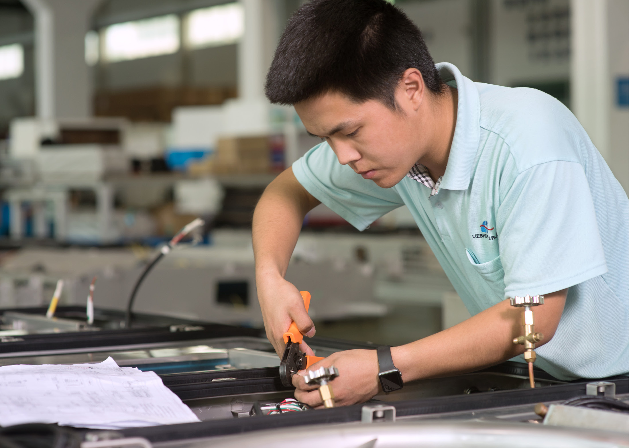 Successful joint venture in China