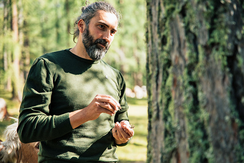 Capturing the flavours of the Dolomites