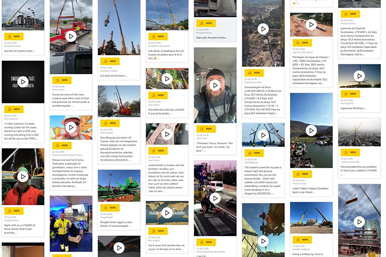 Vote now: Who will make it to the preliminary round of the Game of Cranes?