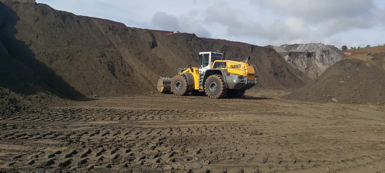 Baixo consumo e alta performance: L 586 XPower conquista mercado brasileiro