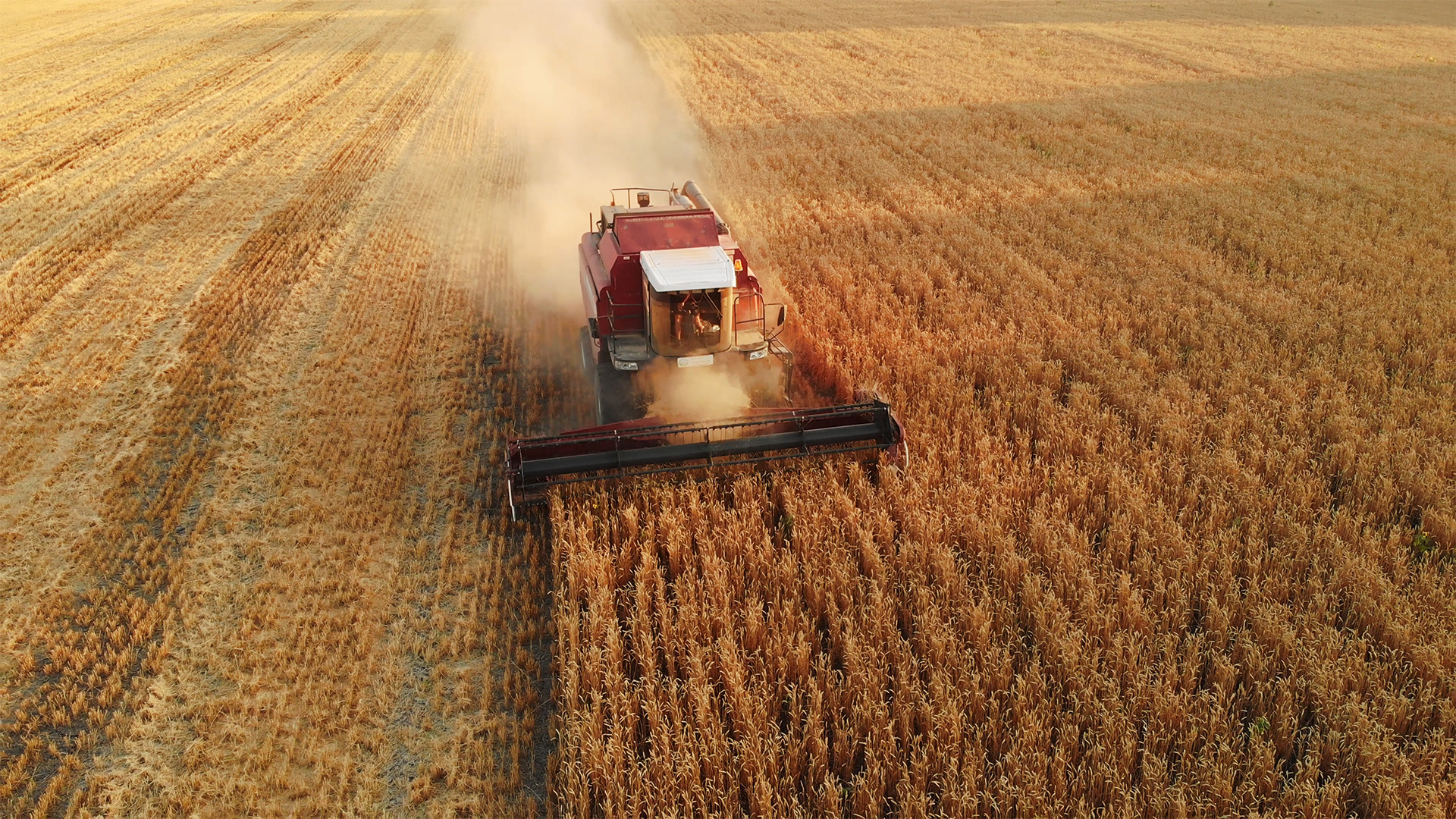 A farm vehicle working on a field 