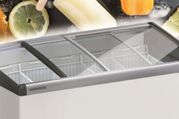 liebherr-frozen-food-and-ice-cream-industry mig