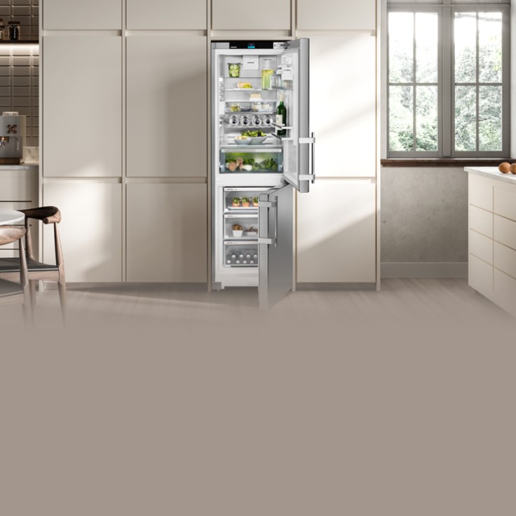 freestanding-fridge-freezer-scnsdh5253-728x728