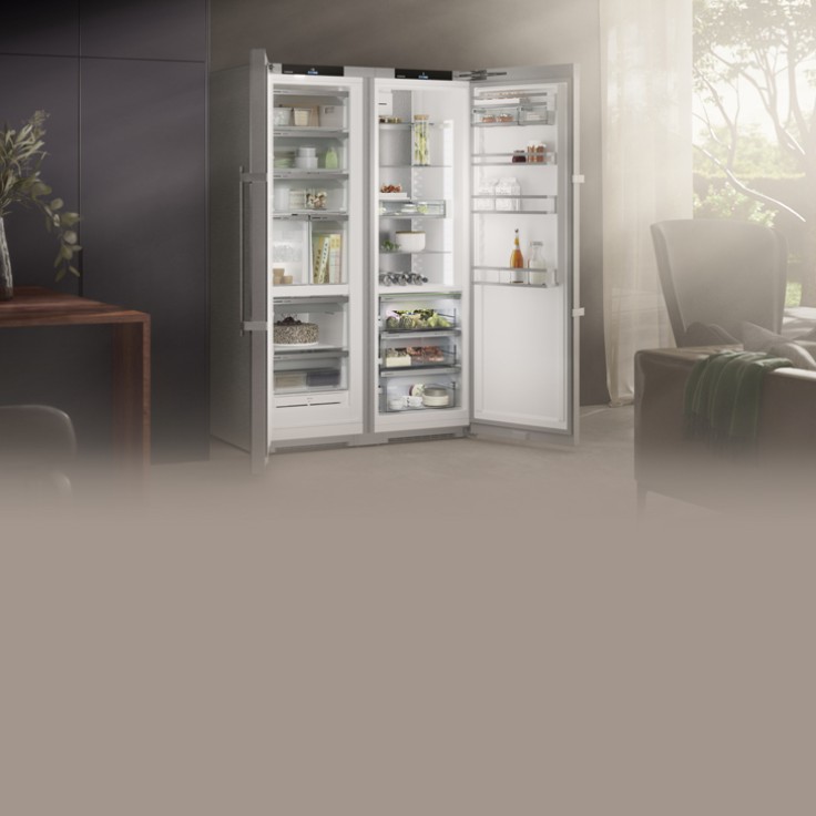 freestanding-side-by-side-fridge-freezer-xrfsdh5265-728x728