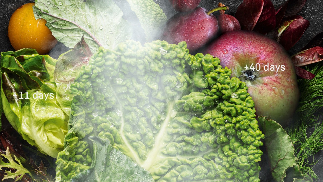 hydrobreeze-fresh-mist-fruits- hydrobreeze-fresh-mist-fruits-