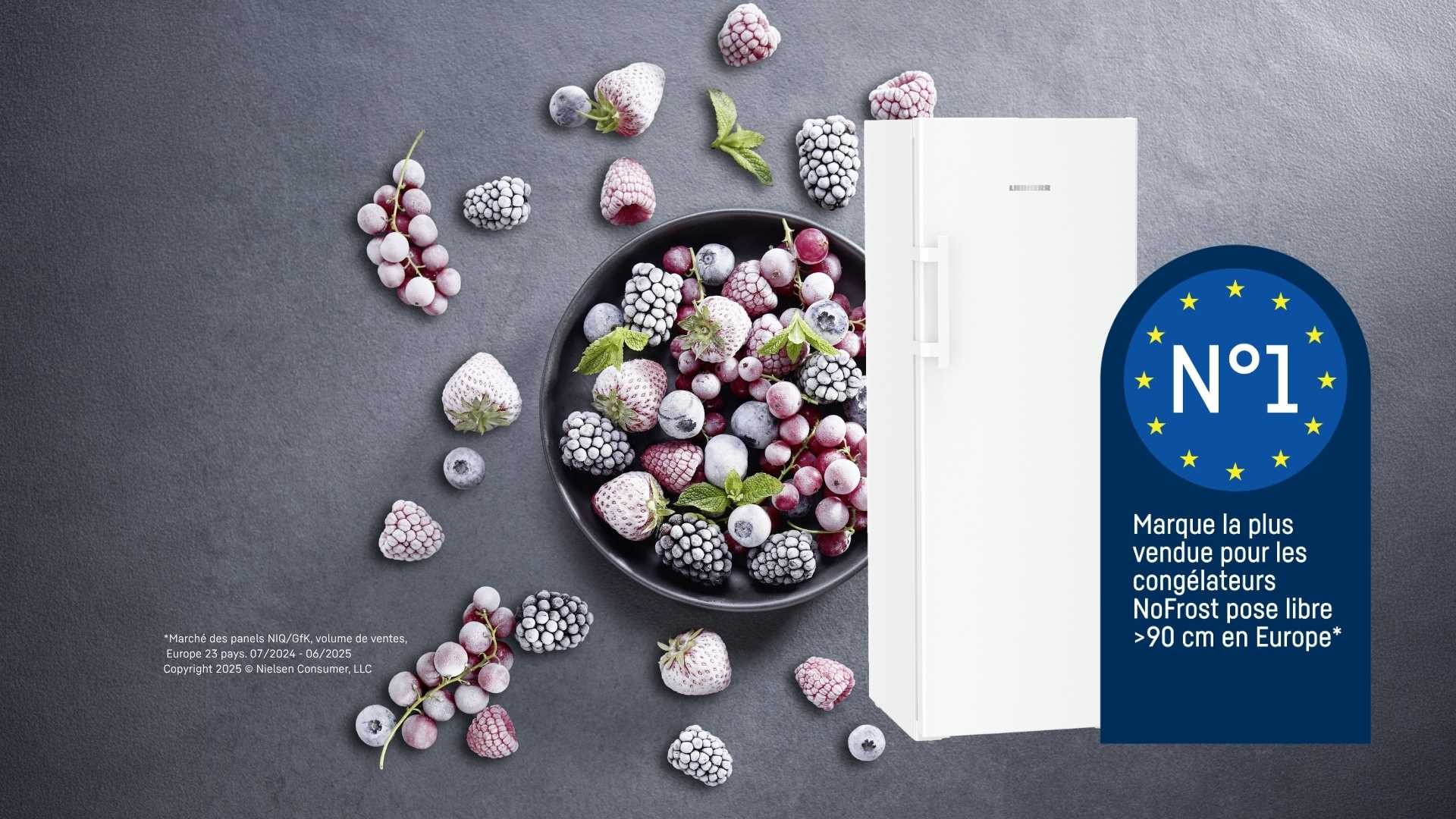 Liebherr est la marque la plus vendue pour les congélateurs NoFrost pose libre en Europe