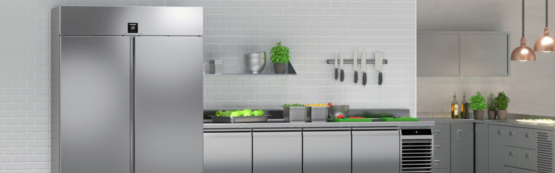 Cuisine professionnelle avec réfrigérateur et congélateur Liebherr