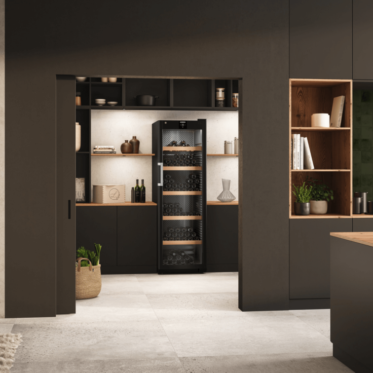 A moden home with an open doorway showing a wine fridge in between shelves