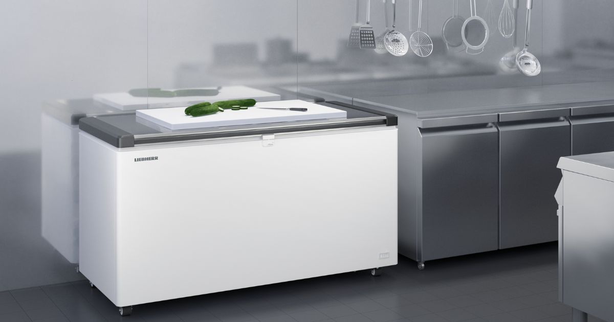 FREEZER Boss セット 80L Home Small Single Solid Door Mechanical Chest Freezer