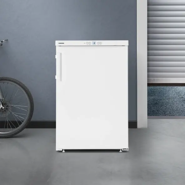 Gefrierschrank mit NoFrost, hochwertigem Design und Effizienz