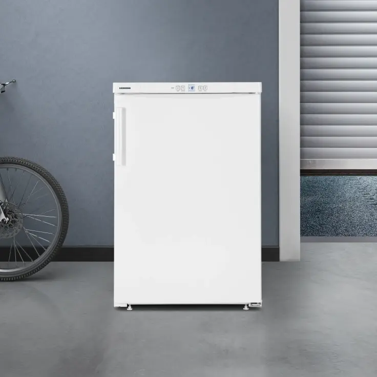 Gefrierschrank mit NoFrost, hochwertigem Design und Effizienz