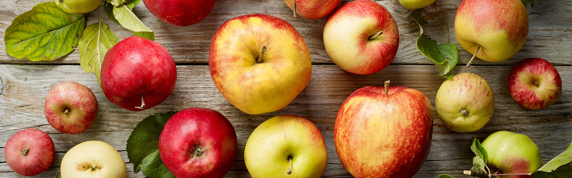 Äpfel in verschiedenen Größen und Farben liegen verteilt auf einem rustikalen Holzuntergrund.