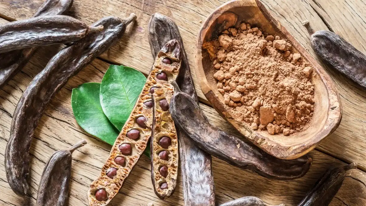 Cocoa alternatives Dried carob pods and carob powder in a bowl as a cocoa alternative.