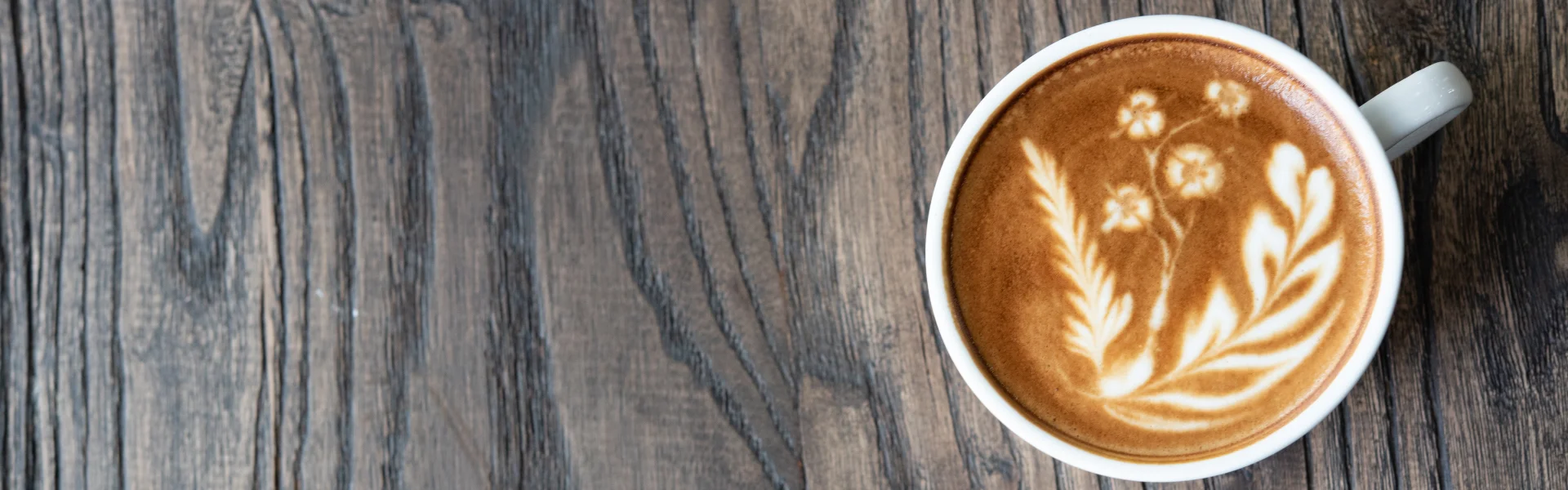 Alternatives to coffee and cocoa Alternatives to coffee and cocoa