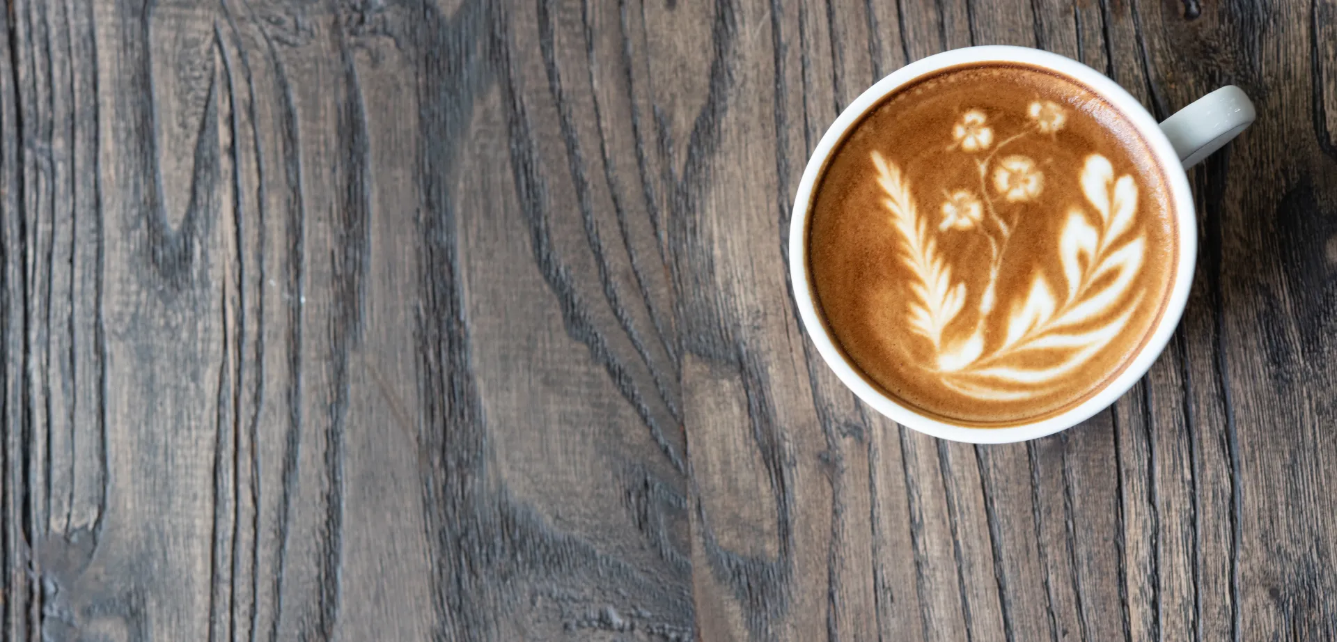 Alternatives to coffee and cocoa Alternatives to coffee and cocoa