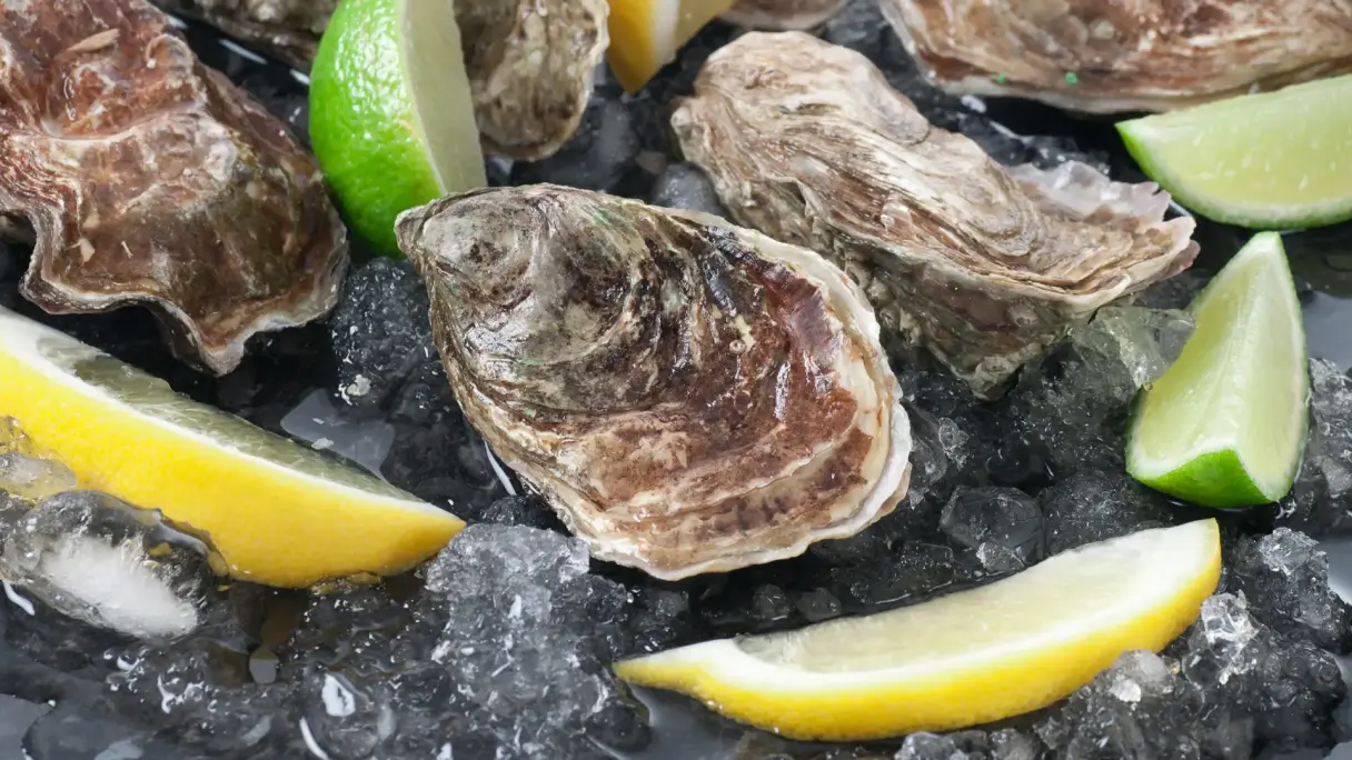 Mehrere geschlossene Austern liegen auf einem Eisbett und wurden mit Zitronen- und Limettenschnitzen garniert.