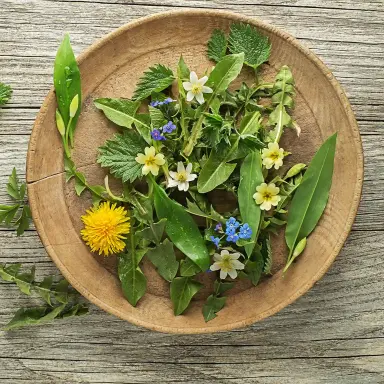 Heller Holztisch mit einem Holzteller, der verschiedene Wildkräuter zeigt, darunter Löwenzahn und Bärlauch.