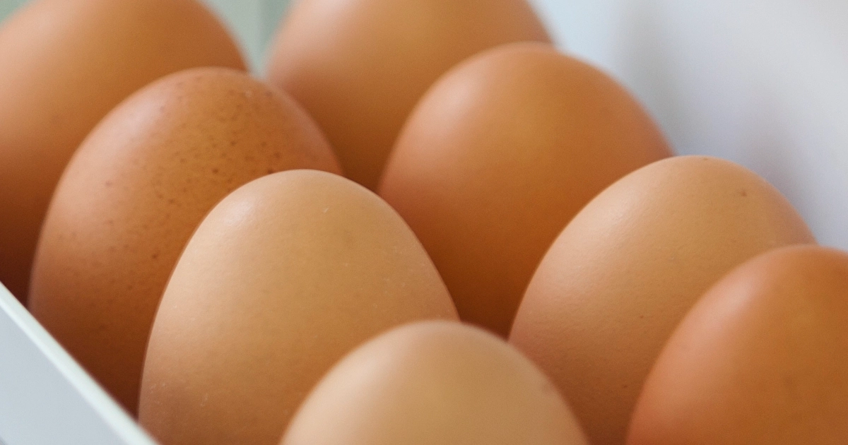 Wie lange sind Eier im Khlschrank haltbar? | FreshMAG by Liebherr