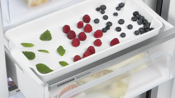Einfrieren mit Gefriertablett Ein Gefriertablett mit Himbeeren, Blaubeeren und Minze in einem Liebherr Gefrierschrank mit NoFrost-Technologie.