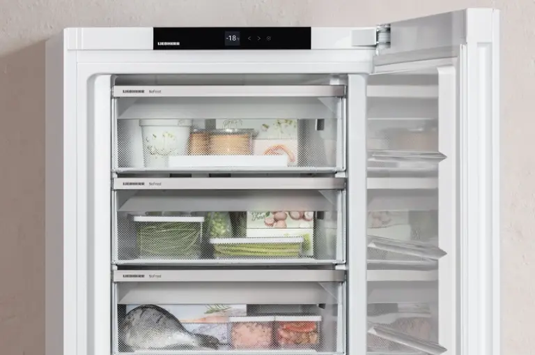 La Temperatura Giusta Per Il Freezer - Foto 9