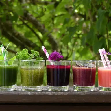 Verschiedene selbstgemachte Säfte in rot, lila und Grüntönen stehen nebeneinander aufgereiht in Gläsern. In manchen stecken Papierstrohhalme – auf anderen befinden sich Toppings wie Blumen, Kräuter oder Obststücke.