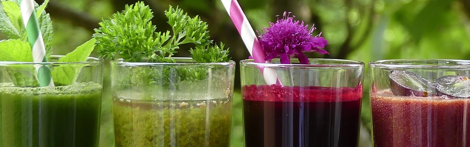 Verschiedene selbstgemachte Säfte in rot, lila und Grüntönen stehen nebeneinander aufgereiht in Gläsern. In manchen stecken Papierstrohhalme – auf anderen befinden sich Toppings wie Blumen, Kräuter oder Obststücke.
