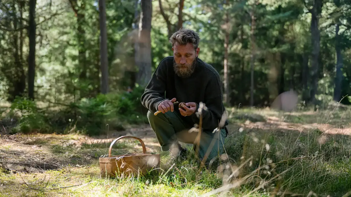 Mikkel Karstad unterwegs im Wald beim Pilze sammeln.