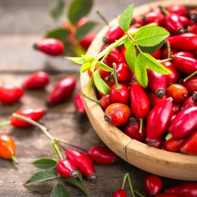 Rote Hagebuttenfrüchte in hölzerner Schüssel.