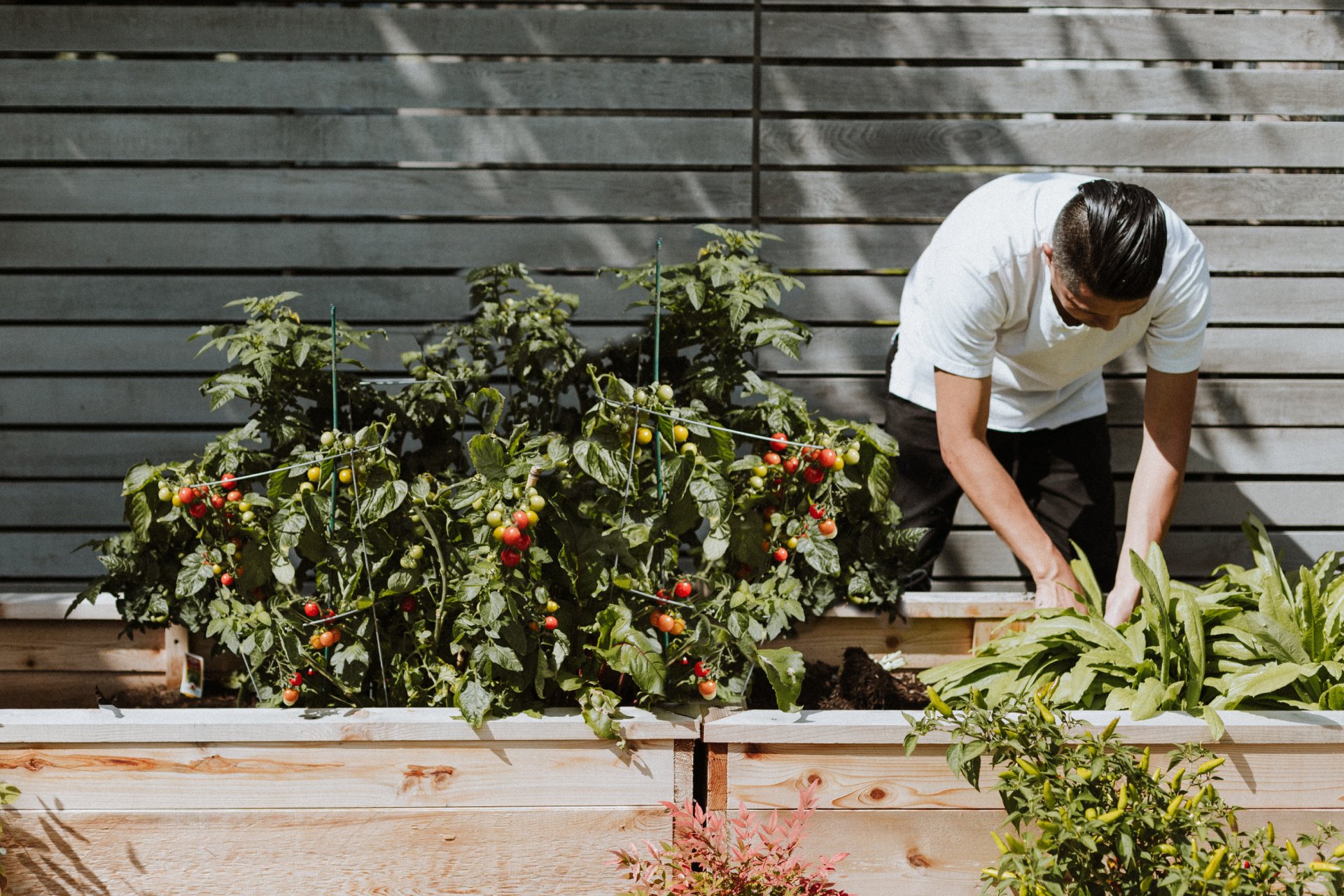 Thumbnail Useful tips for storage