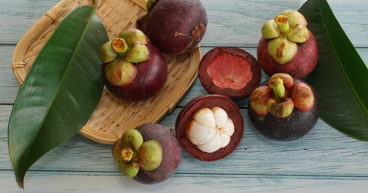 Mangosteen – the exotic tropical fruit | FreshMAG by Liebherr