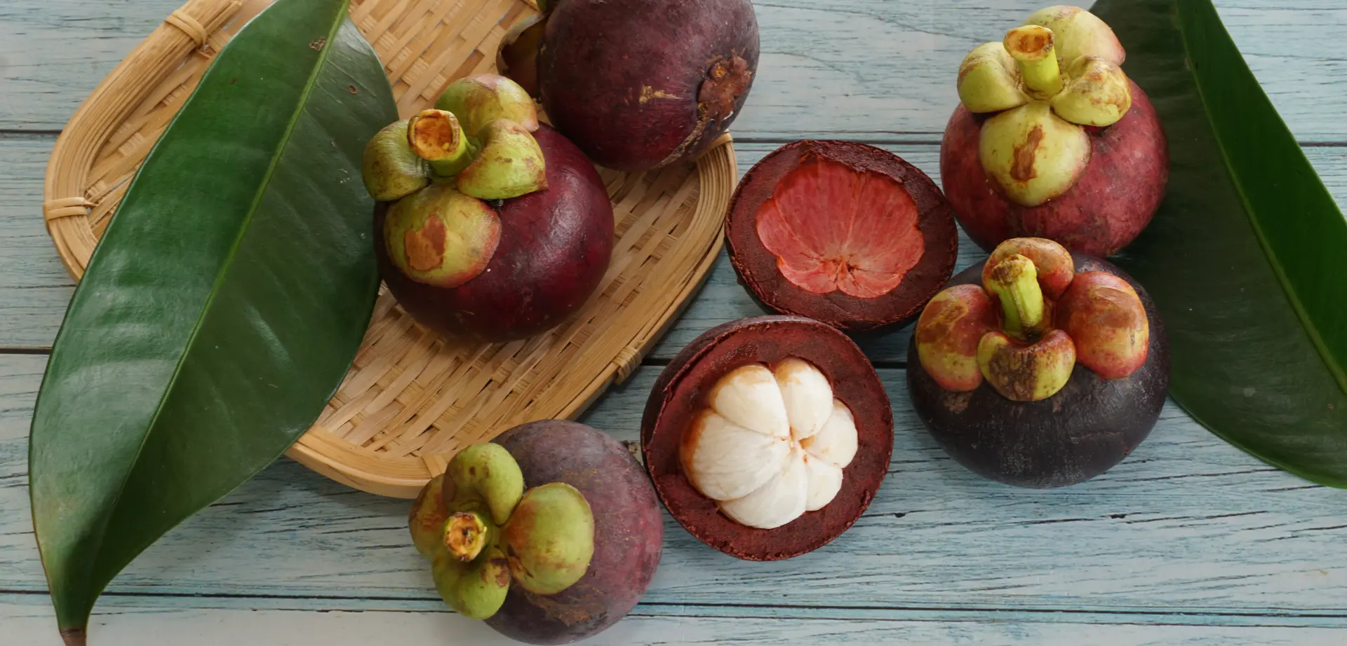 Mangosteen Mangosteen fruits with green foliage against a light background.