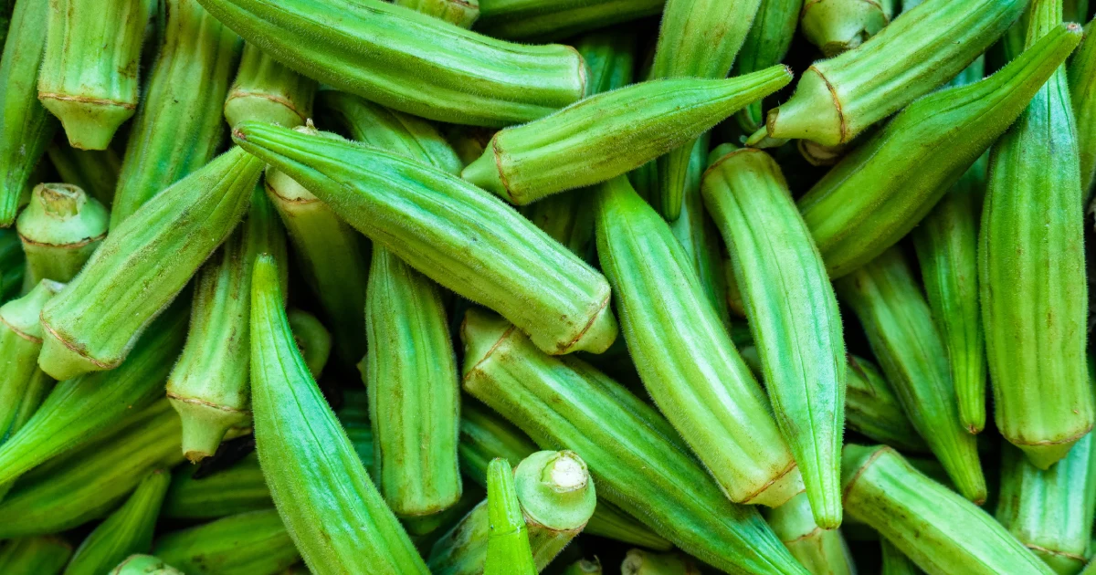 Okra - gavnlige virkninger, næringsstoffer og opbevaring | FreshMAG by Liebherr