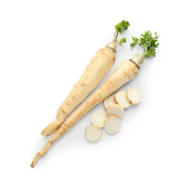 Petersilienwurzel isoliert auf weißem Hintergrund