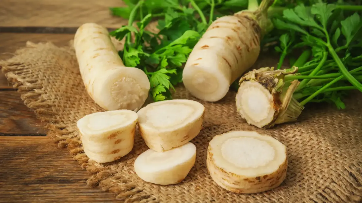 Eine halb aufgeschnittene Petersilienwurzel mit Grün im Hintergrund, davor mehrere dicke Scheiben, platziert auf Holzdielen, teils auf einem Stück Jutesack liegend.