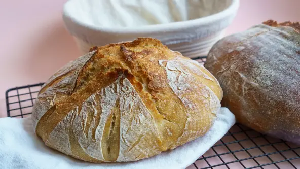 Vor rosa Hintergrund: Gitterblech mit zwei goldbraunen Brotlaiben, links auf weißem Küchentuch, dahinter ein weißes Gärkörbchen.