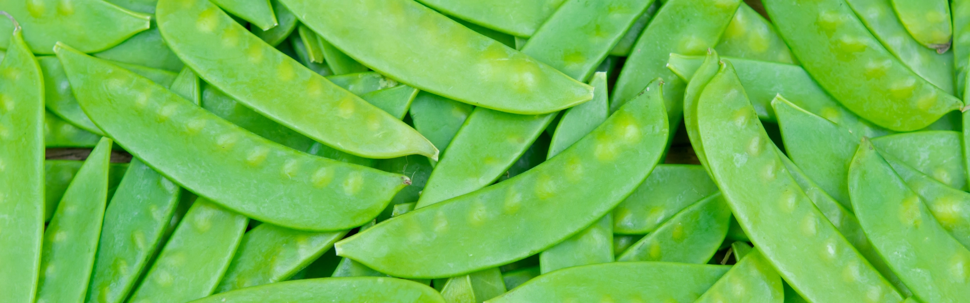 Sugar snap peas covering the whole image.