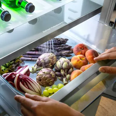 biofresh-open-compartment-fruits-vegetables-professional-hydrobreeze-liebherr-detail-11