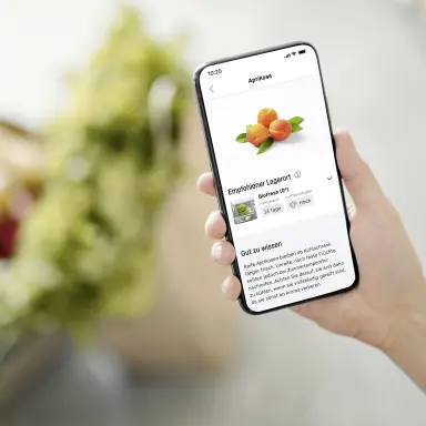 SmartDevice-App: Weitere Services rund um Ihr Kühlgerät Hand hält ein Smartphone mit der SmartDevice-App; angezeigt werden Lagerempfehlungen für Lebensmittel und weitere Serviceinformationen.