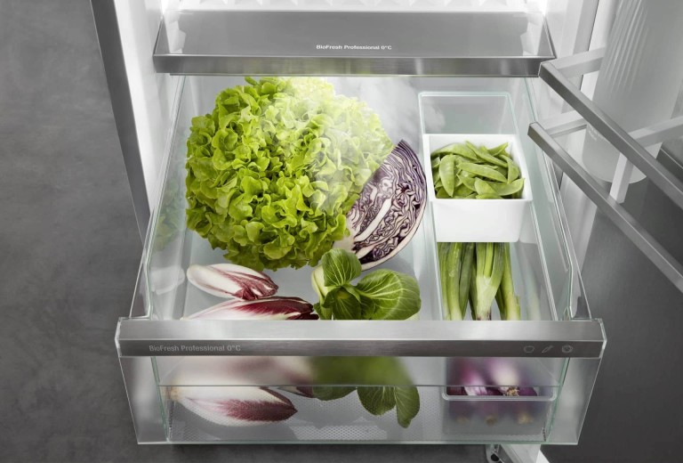 MONTERAL Blade For Electric Chopper For Kenwood Warranty 10 Years