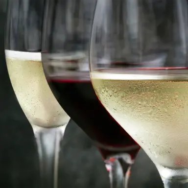 Weingläser mit Rotwein, Weißwein, Champagner – serviert bei unterschiedlichen Trinktemperaturen für optimalen Genuss