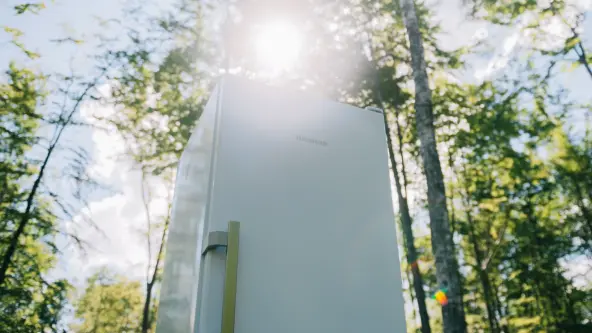 Freestanding freezer FNXa522i stand in a green forest and is hit by a light ray from above