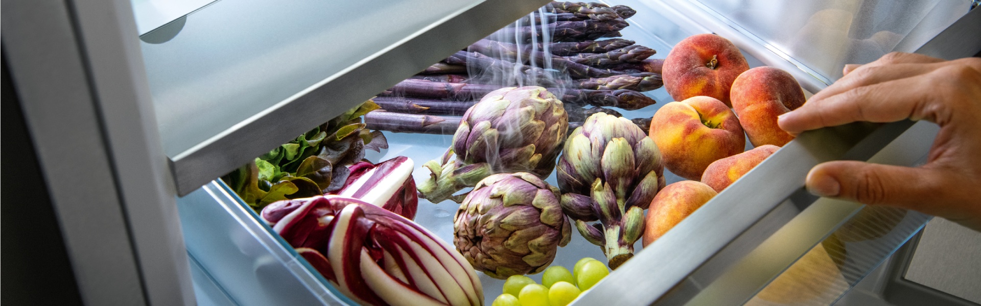 A pair of hands is gently opening the BioFresh Professional compartment of a fridge, revealing a vibrant assortment of fresh produce. Inside, artichokes, asparagus, peaches, and radicchio are neatly arranged, showcasing the compartment's ability to keep fruits and vegetables at their optimal freshness. The scene highlights the importance of proper storage for maintaining the quality of food items.