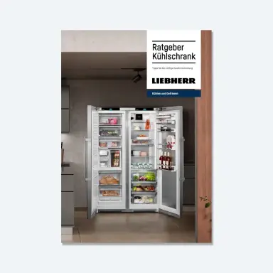 ratgeber-kuehlschrankkauf-liebherr-story-1080x1080