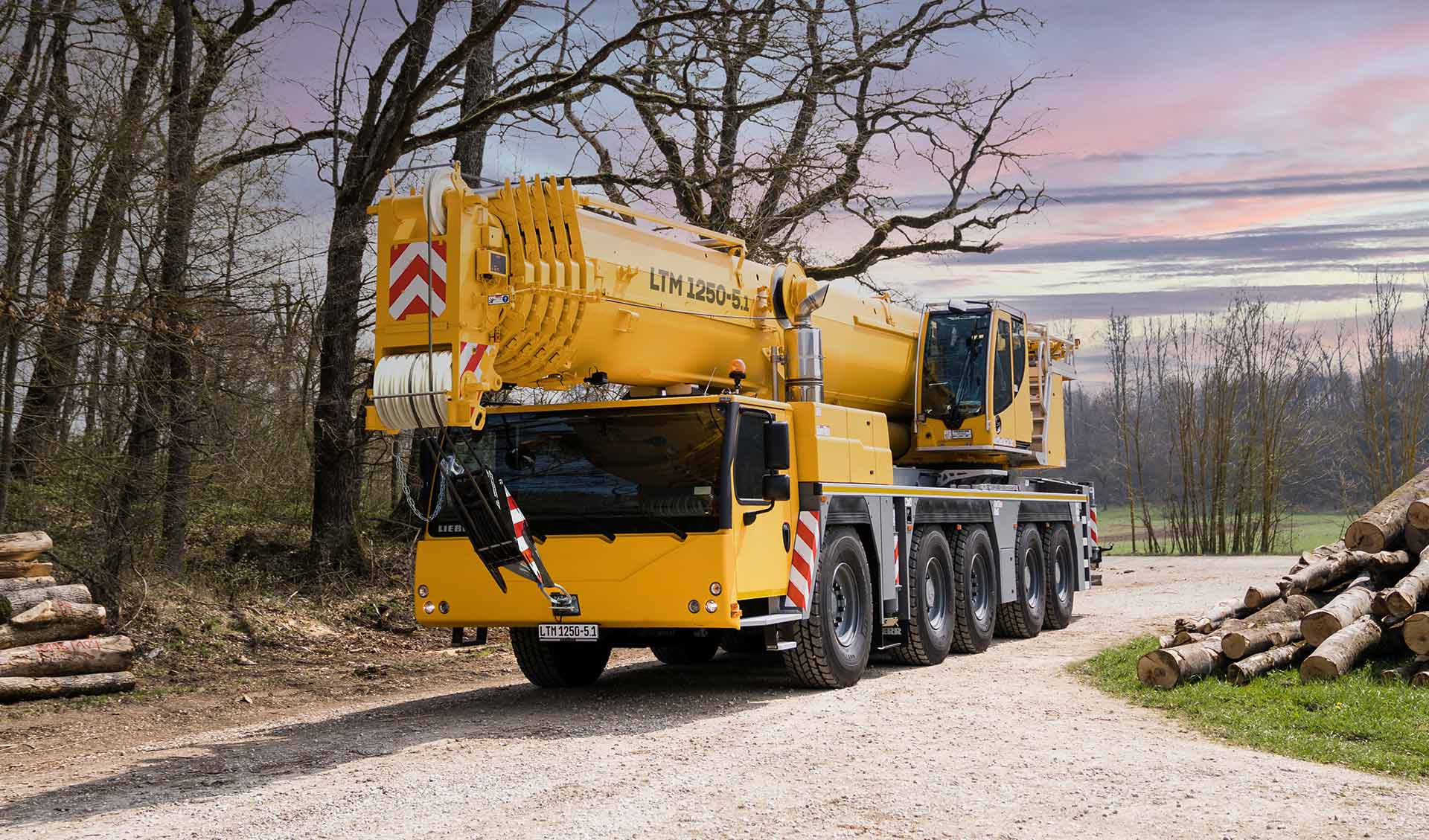 Mobile crane LTM 1250-5.1 - Liebherr