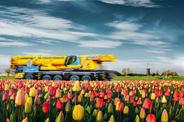 liebherr-tulpen-intro-1265x843