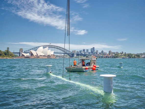 liebherr-lwe-open-air-cinema-sydney-assembly-1920x1440