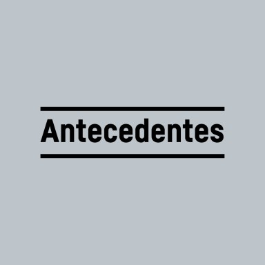 liebherr-antecedentes