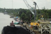 Liebherr LFS 180 coal handling in Indonesia.